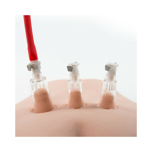 Clitoris and Nipple Pleasure and Enhancement Pump System