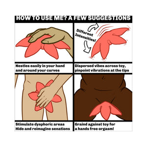 Starsi Rose